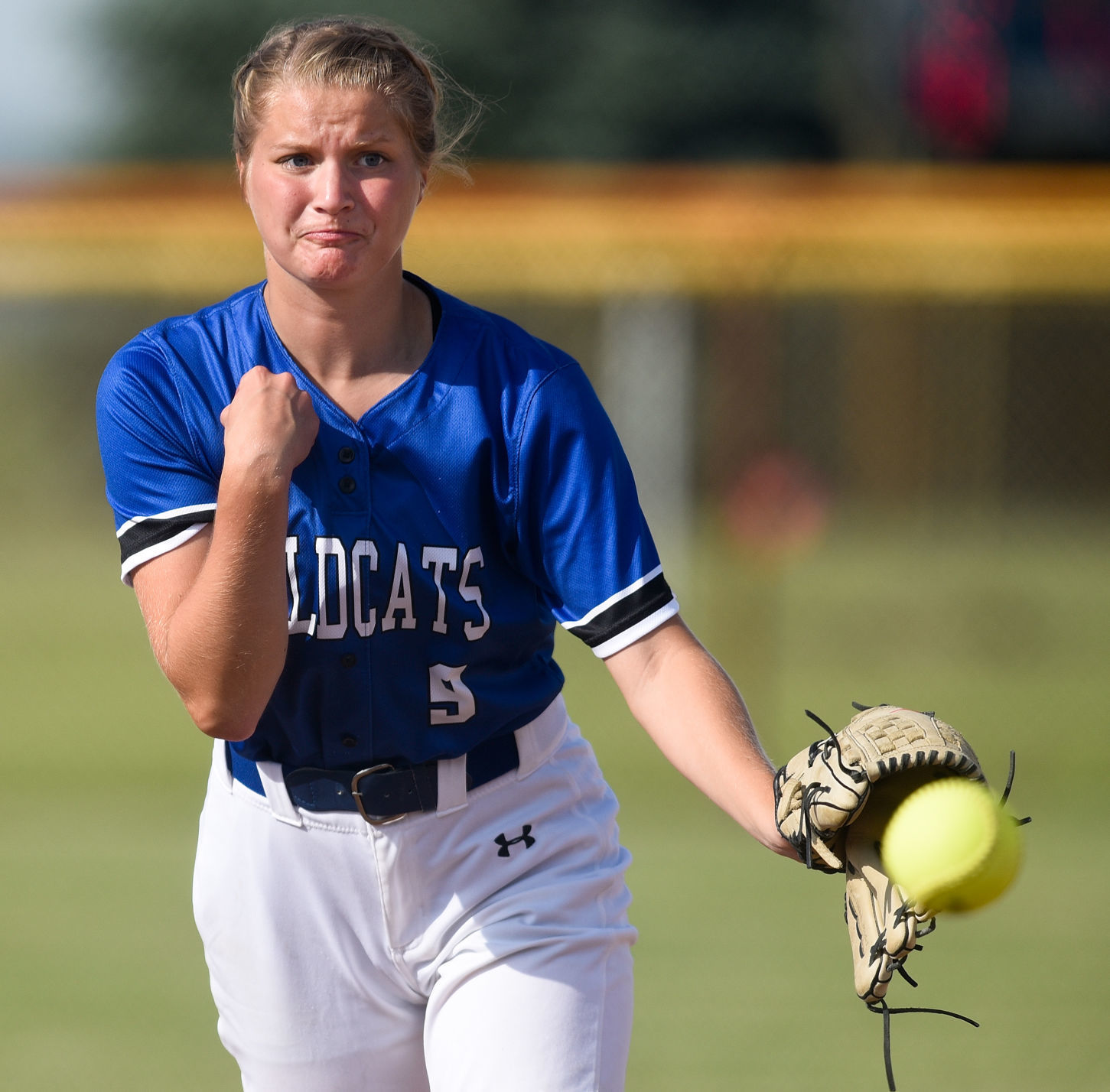 Softball Woodbury Central at Westwood